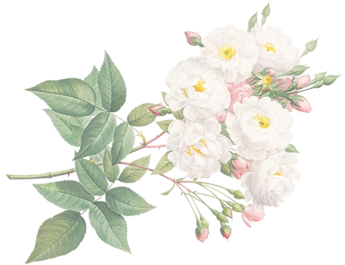 Flower-2